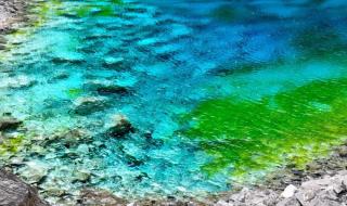 九寨沟连续三天下雪 九寨沟连续三天下雪