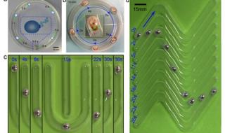 液态金属机器人 液态金属机器人