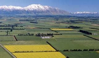 新西兰首都 新西兰首都