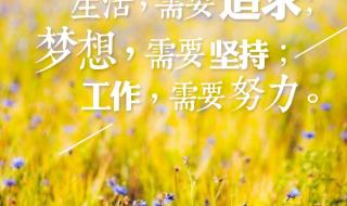 图库怎么恢复到桌面 图库怎么恢复到桌面