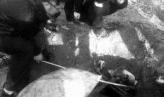 破坏发电机任务怎么做 破坏发电机任务怎么做