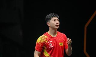 wtt乒乓球世界排名